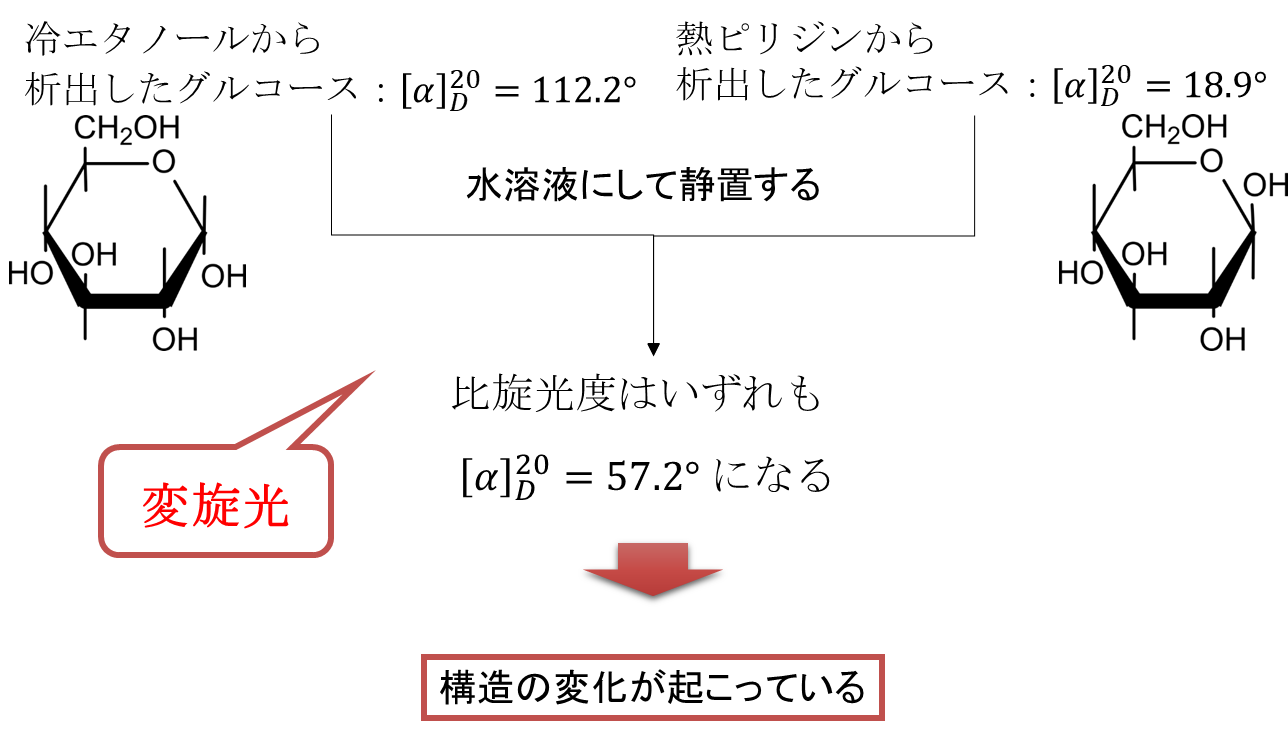 単糖の環状構造・鎖状構造の平衡状態と変旋光 生命科学系エンジニアの学習ノート