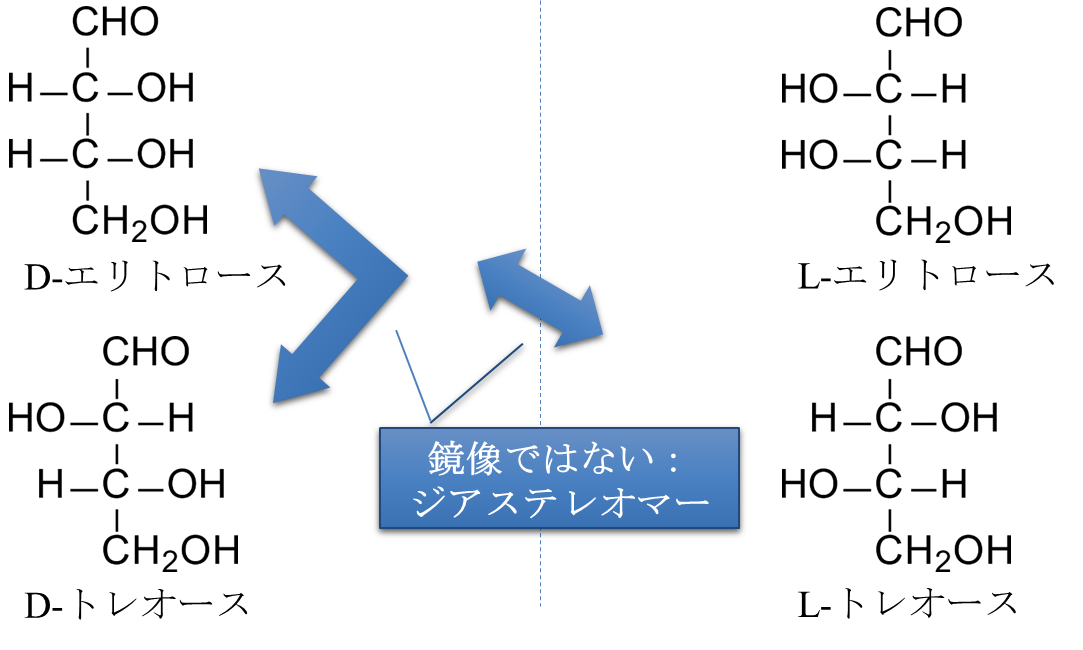 単糖と立体異性体について 生命科学系エンジニアの学習ノート