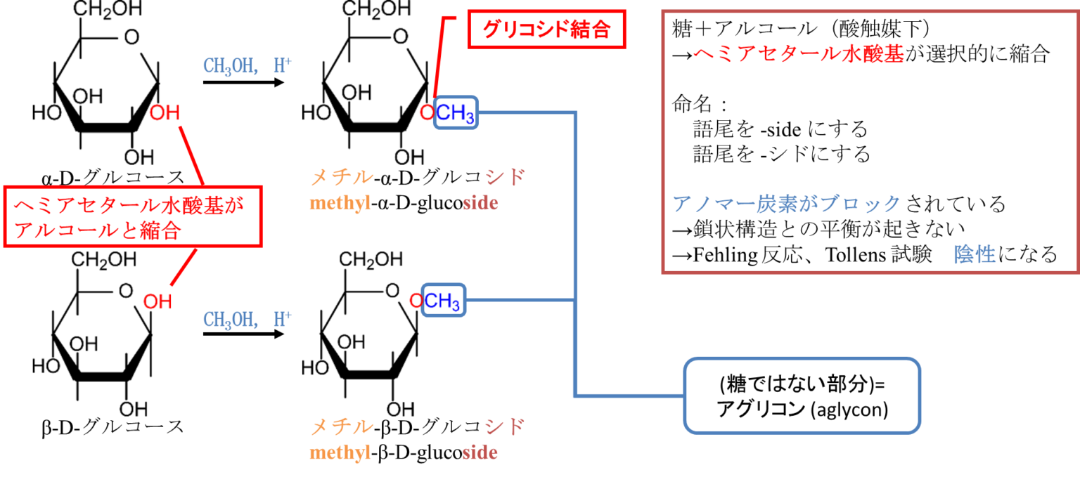 単糖から誘導される化合物 生命科学系エンジニアの学習ノート
