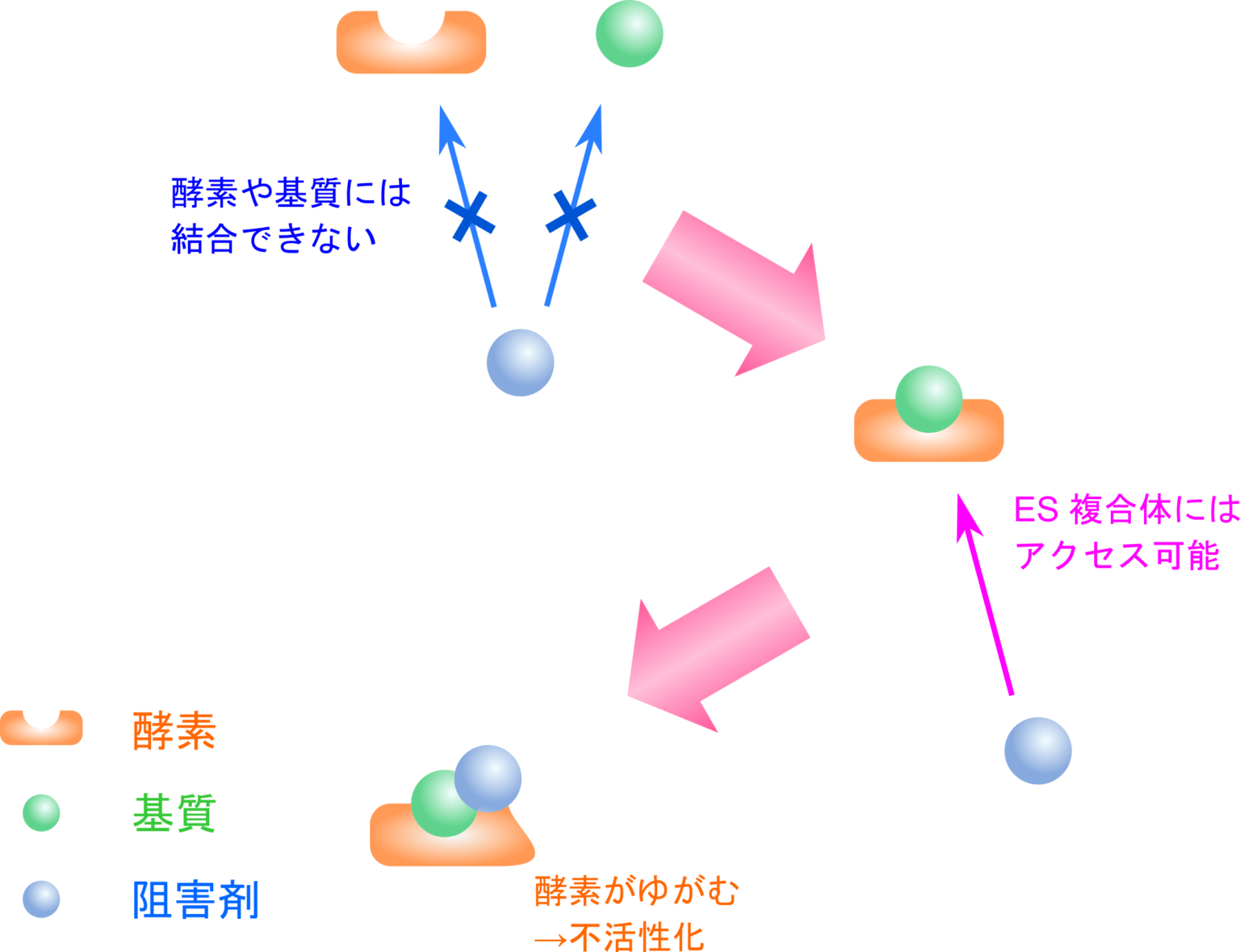 酵素阻害の基本：競合阻害・不競合阻害・非競合阻害や不可逆阻害の作用機序を図解！ - 生命科学系エンジニアの学習ノート