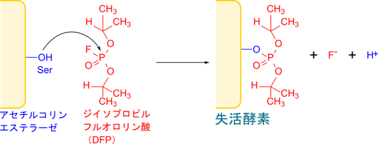 酵素阻害の基本：競合阻害・不競合阻害・非競合阻害や不可逆阻害の作用機序を図解！ - 生命科学系エンジニアの学習ノート