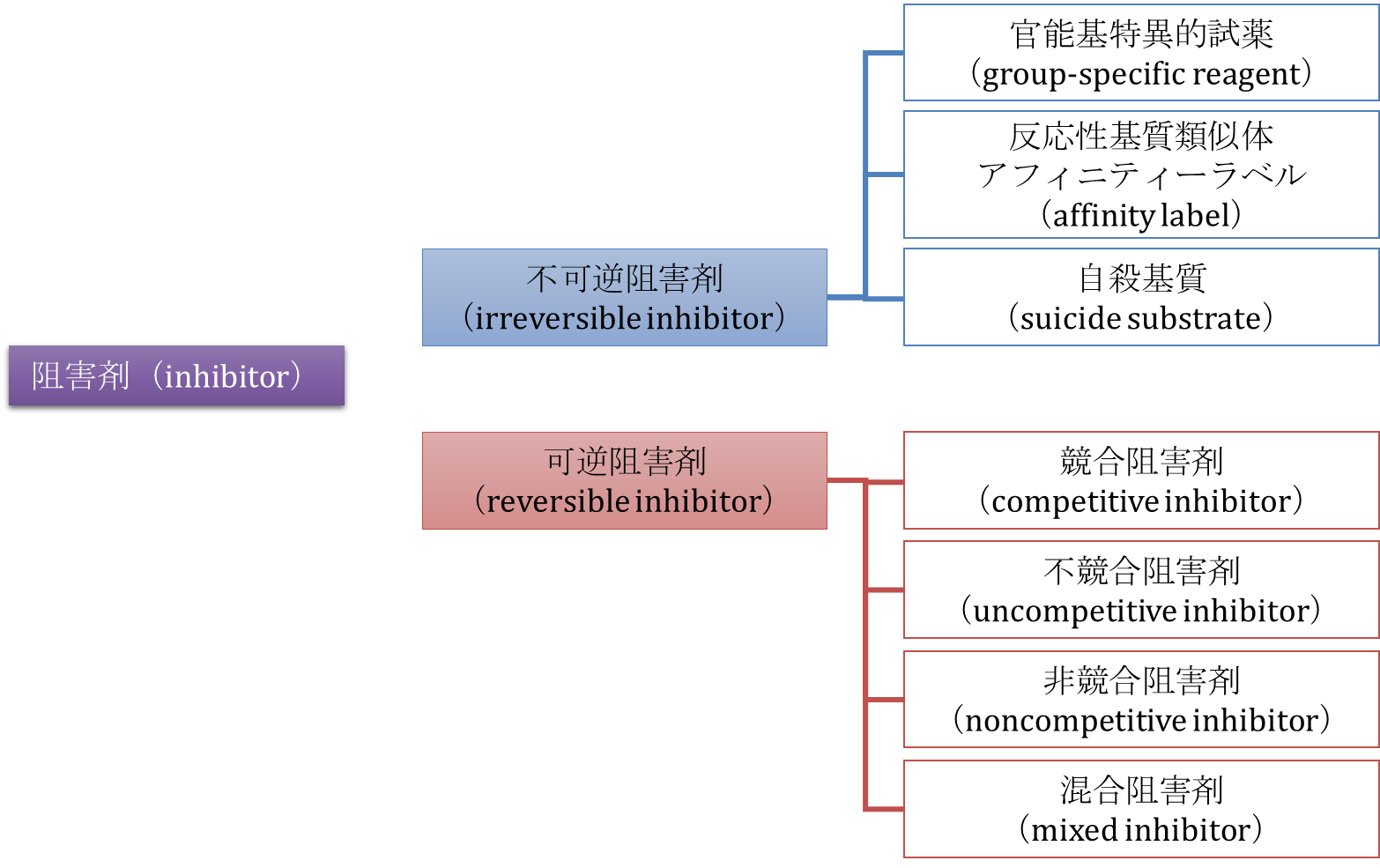 酵素阻害の基本：競合阻害・不競合阻害・非競合阻害や不可逆阻害の作用機序を図解！ - 生命科学系エンジニアの学習ノート