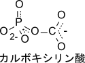 選択肢1：構造図