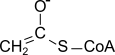 選択肢3：構造図