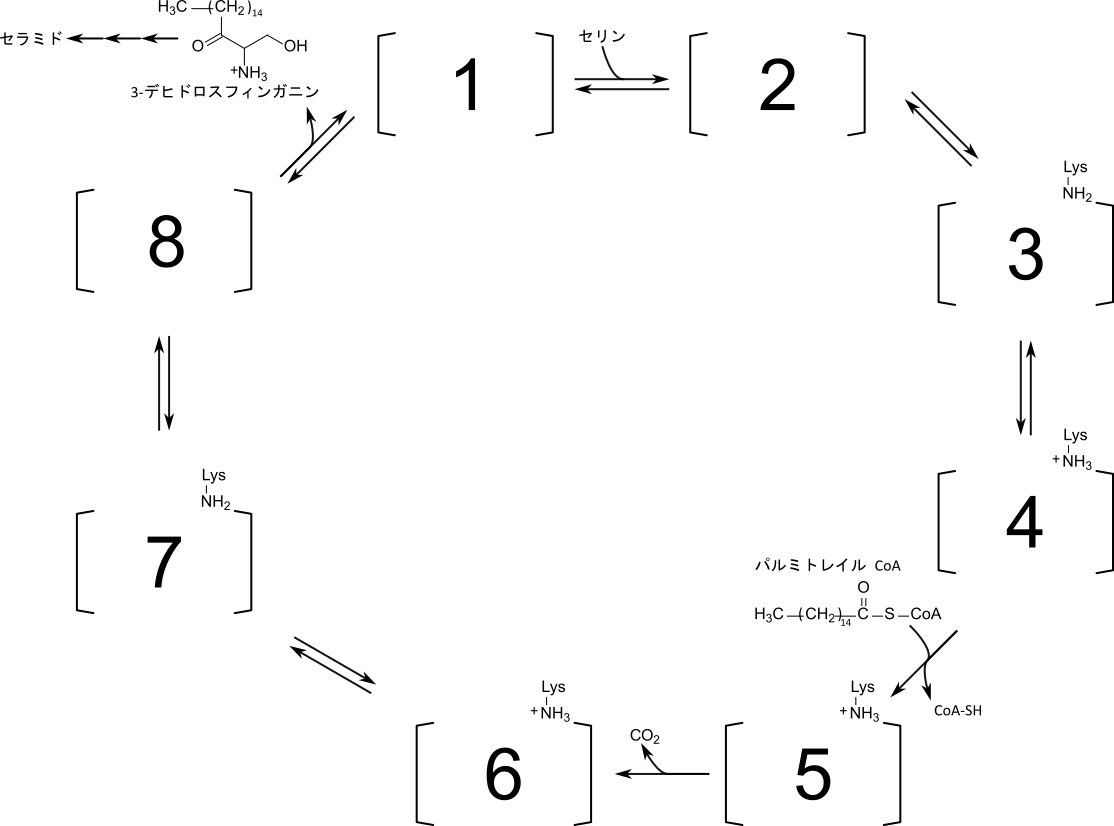 問題図